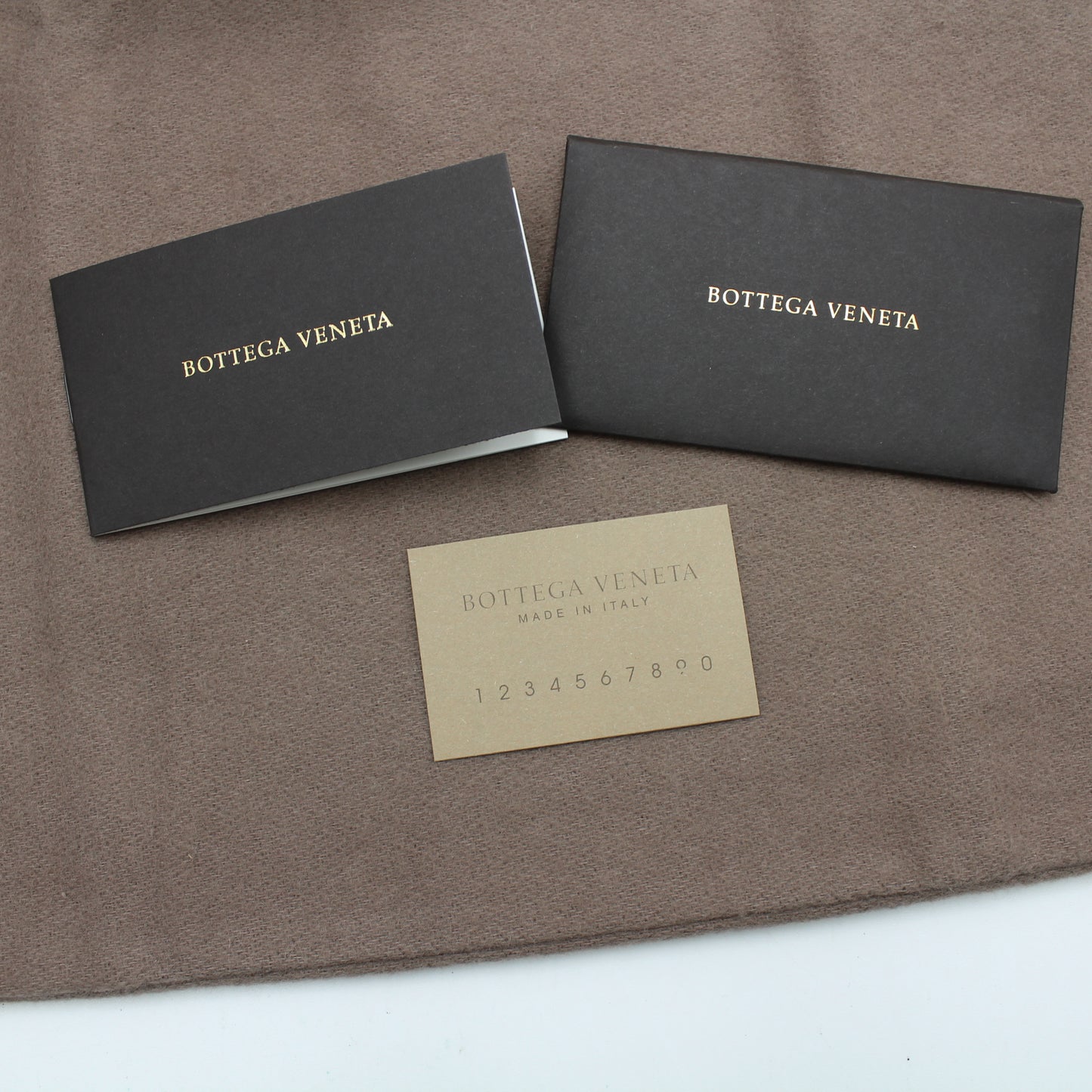 BOTTEGA VENETA PADDED CASSETTE BAG OB107