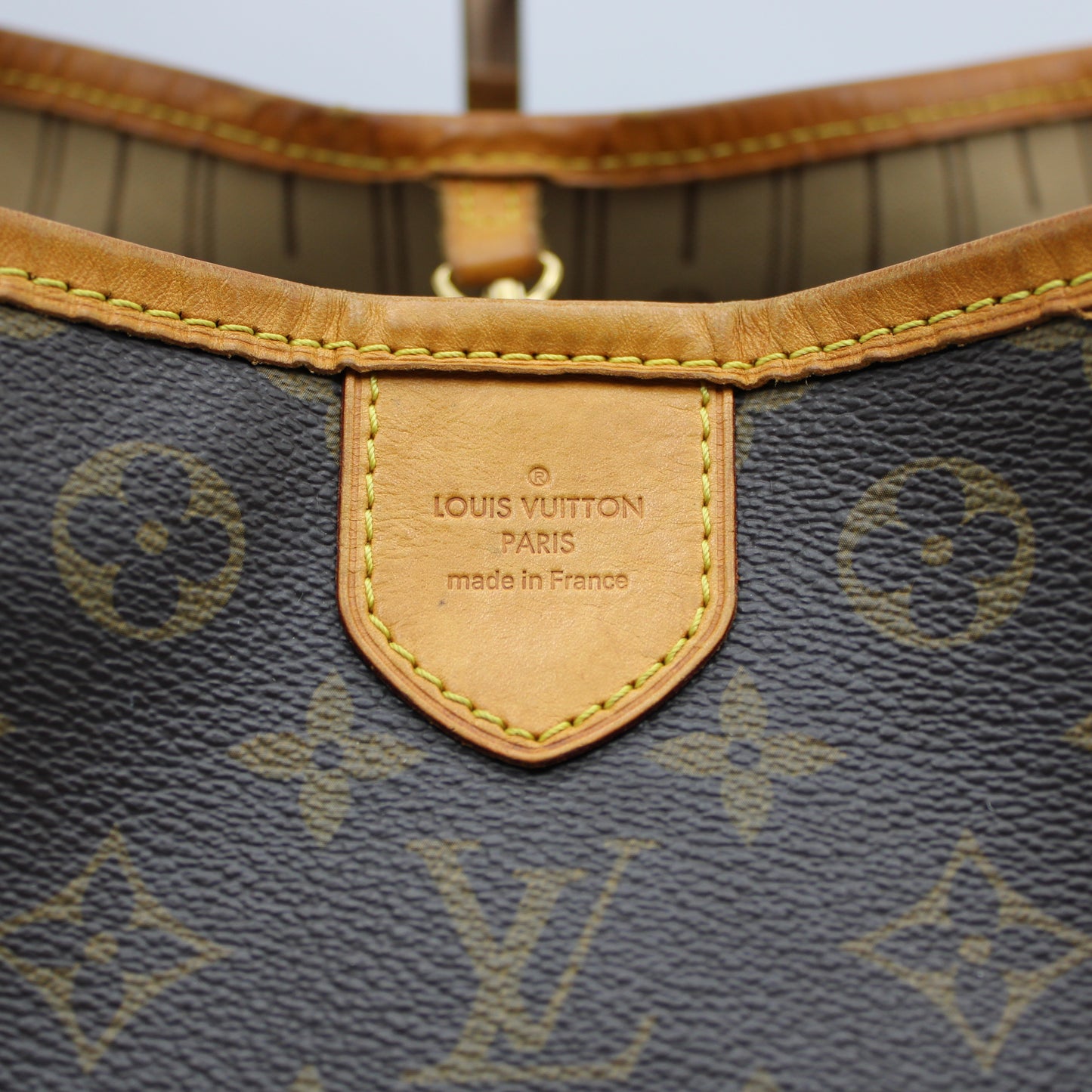 BORSA LOUIS VUITTON DELIGHTFUL PM MONOGRAM
